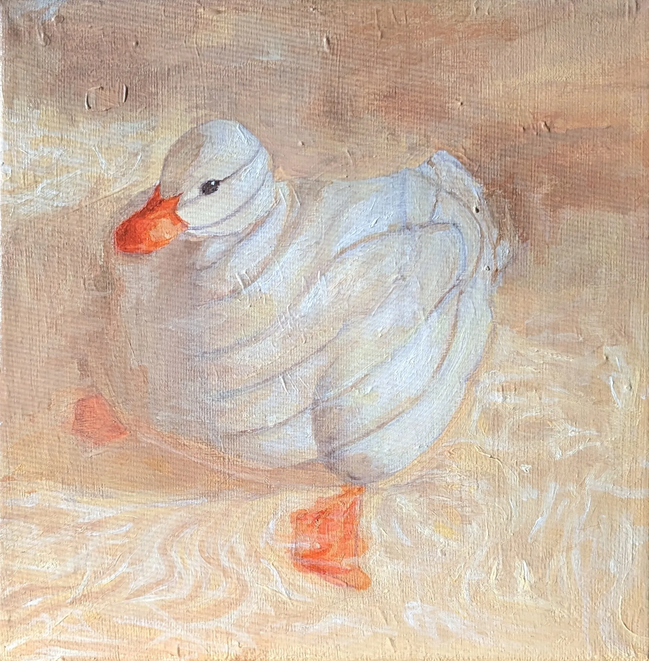 Acrylic duck